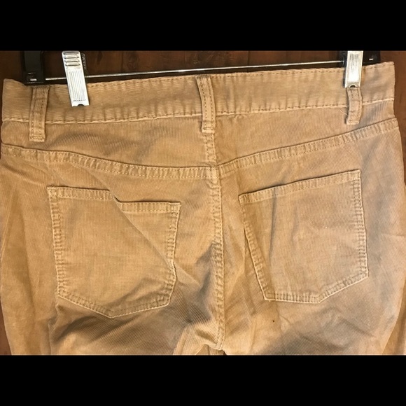Talbots Tan/Brown Boot Pants - Picture 4 of 7